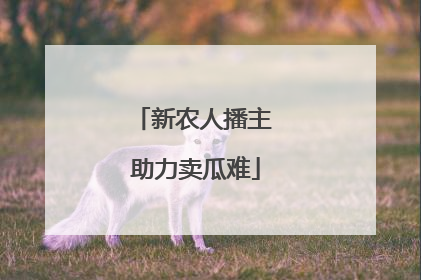 新农人播主 助力卖瓜难