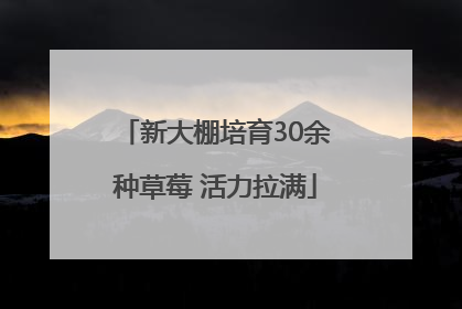 新大棚培育30余种草莓 活力拉满
