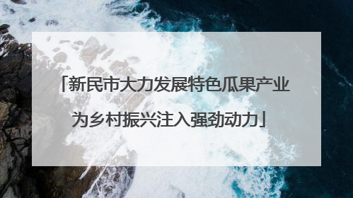新民市大力发展特色瓜果产业 为乡村振兴注入强劲动力