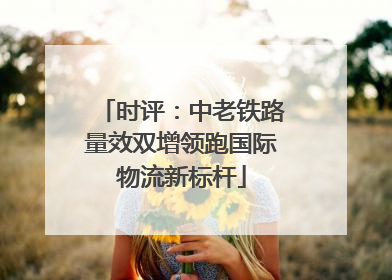 时评：中老铁路量效双增领跑国际物流新标杆