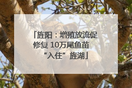 旌阳：增殖放流促修复 10万尾鱼苗“入住”旌湖
