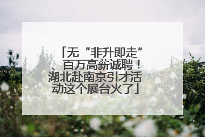 无“非升即走”、百万高薪诚聘！湖北赴南京引才活动这个展台火了