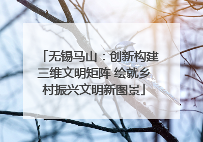 无锡马山：创新构建三维文明矩阵 绘就乡村振兴文明新图景