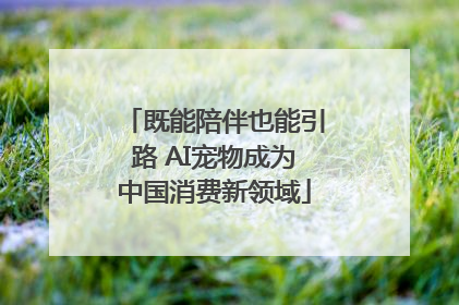 既能陪伴也能引路 AI宠物成为中国消费新领域