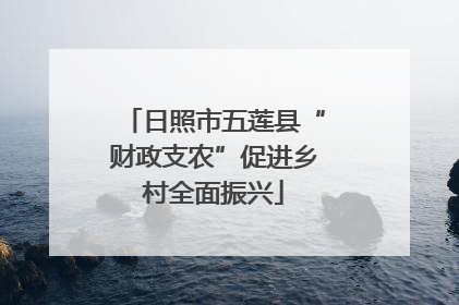 日照市五莲县“财政支农”促进乡村全面振兴