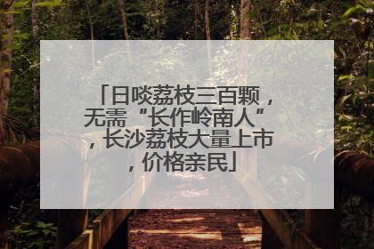 日啖荔枝三百颗，无需“长作岭南人”，长沙荔枝大量上市，价格亲民