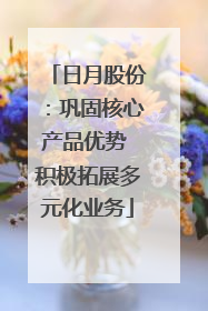日月股份：巩固核心产品优势 积极拓展多元化业务