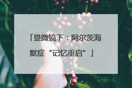 显微镜下：阿尔茨海默症“记忆重启”