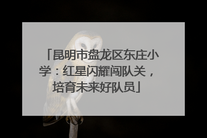 昆明市盘龙区东庄小学：红星闪耀闯队关，培育未来好队员