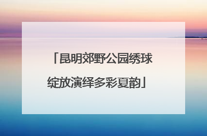 昆明郊野公园绣球绽放演绎多彩夏韵