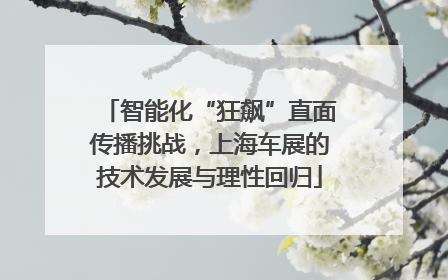 智能化“狂飙”直面传播挑战，上海车展的技术发展与理性回归
