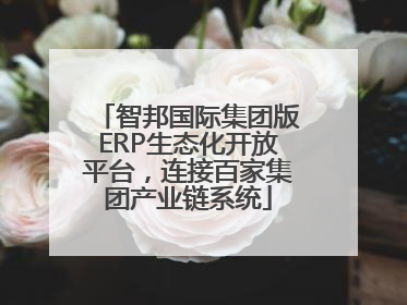智邦国际集团版ERP生态化开放平台，连接百家集团产业链系统