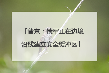 普京：俄军正在边境沿线建立安全缓冲区