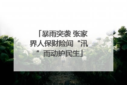 暴雨突袭 张家界人保财险闻“汛”而动护民生