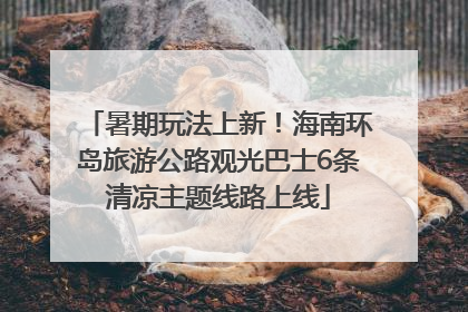 暑期玩法上新！海南环岛旅游公路观光巴士6条清凉主题线路上线