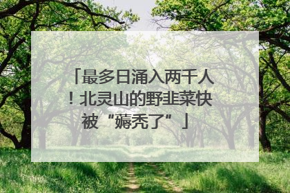 最多日涌入两千人！北灵山的野韭菜快被“薅秃了”