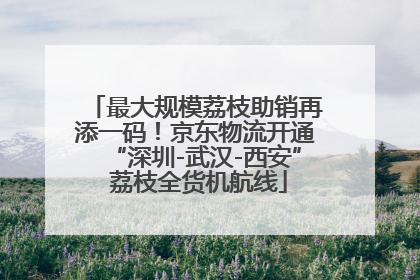 最大规模荔枝助销再添一码！京东物流开通“深圳-武汉-西安” 荔枝全货机航线
