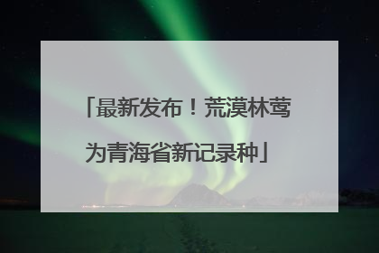 最新发布！荒漠林莺为青海省新记录种