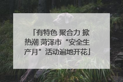 有特色 聚合力 掀热潮 菏泽市“安全生产月”活动遍地开花