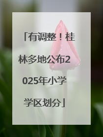 有调整！桂林多地公布2025年小学学区划分