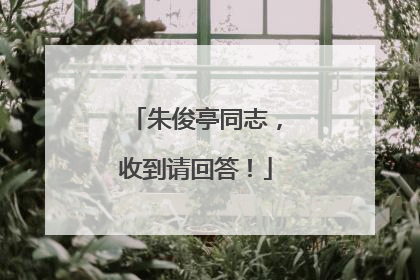 朱俊亭同志，收到请回答！