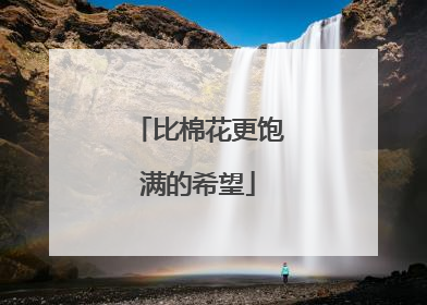 比棉花更饱满的希望