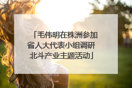 毛伟明在株洲参加省人大代表小组调研北斗产业主题活动