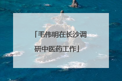 毛伟明在长沙调研中医药工作