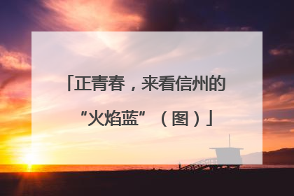 正青春，来看信州的“火焰蓝”（图）
