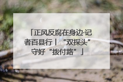 正风反腐在身边·记者百县行丨“双探头”守好“拨付路”