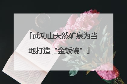 武功山天然矿泉为当地打造“金饭碗”