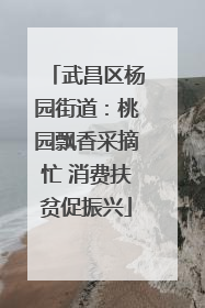 武昌区杨园街道：桃园飘香采摘忙 消费扶贫促振兴