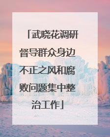 武晓花调研督导群众身边不正之风和腐败问题集中整治工作