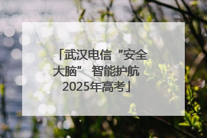 武汉电信“安全大脑” 智能护航2025年高考