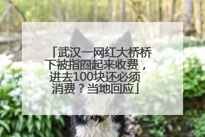 武汉一网红大桥桥下被指圈起来收费，进去100块还必须消费？当地回应