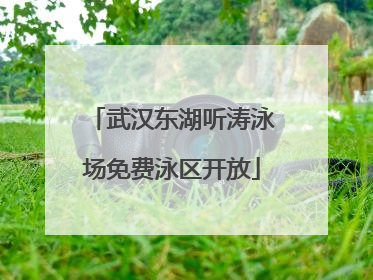 武汉东湖听涛泳场免费泳区开放