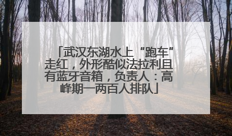 武汉东湖水上“跑车”走红，外形酷似法拉利且有蓝牙音箱，负责人：高峰期一两百人排队