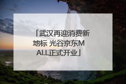 武汉再迎消费新地标 光谷京东MALL正式开业