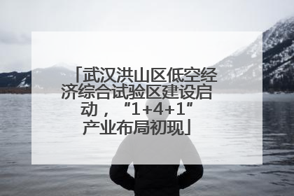 武汉洪山区低空经济综合试验区建设启动，“1+4+1”产业布局初现