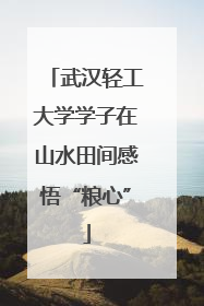 武汉轻工大学学子在山水田间感悟“粮心”