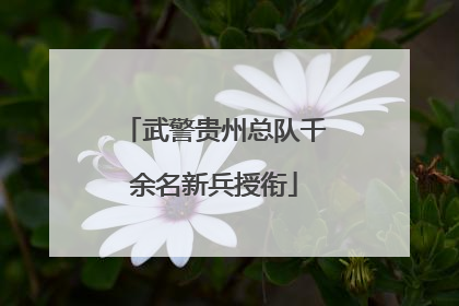 武警贵州总队千余名新兵授衔