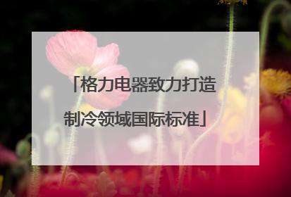 格力电器致力打造制冷领域国际标准