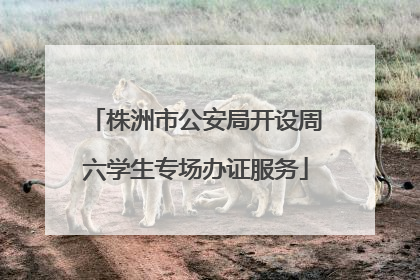 株洲市公安局开设周六学生专场办证服务