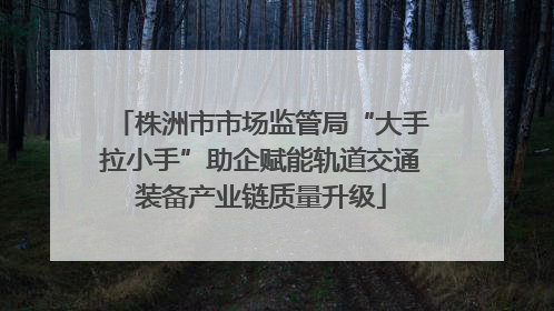 株洲市市场监管局“大手拉小手”助企赋能轨道交通装备产业链质量升级