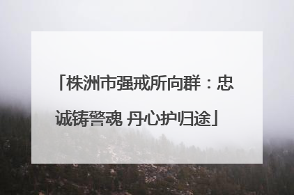 株洲市强戒所向群：忠诚铸警魂 丹心护归途