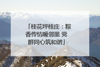 桂花坪桂庄：粽香传情暖邻里 党群同心筑和谐