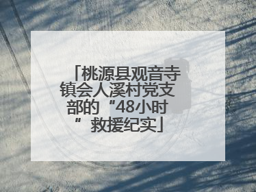 桃源县观音寺镇会人溪村党支部的“48小时”救援纪实