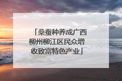 桑蚕种养成广西柳州柳江区民众增收致富特色产业