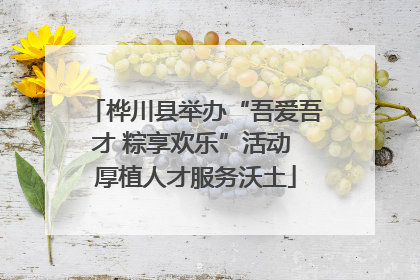 桦川县举办“吾爱吾才 粽享欢乐”活动 厚植人才服务沃土