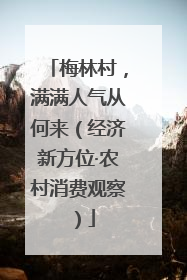 梅林村，满满人气从何来（经济新方位·农村消费观察）